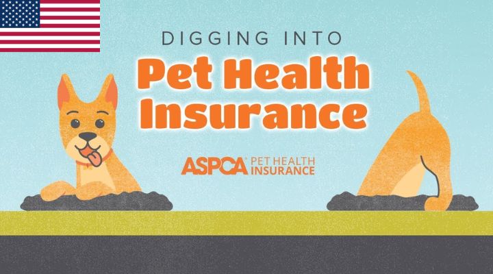 Pet Assistance: How to find support for your pet's healthcare needs?