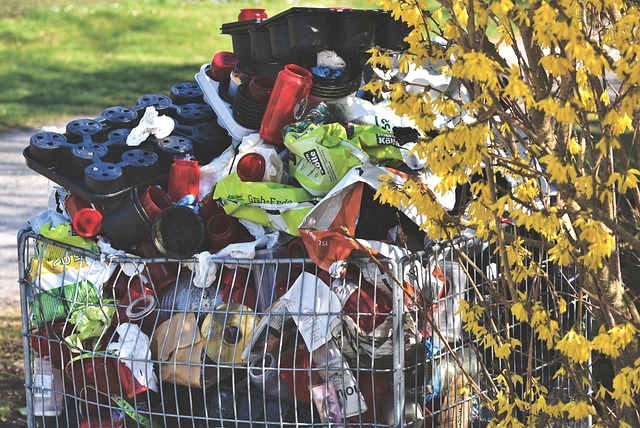 Smart Junk Removal in 2025: Save Money & Protect Your Community